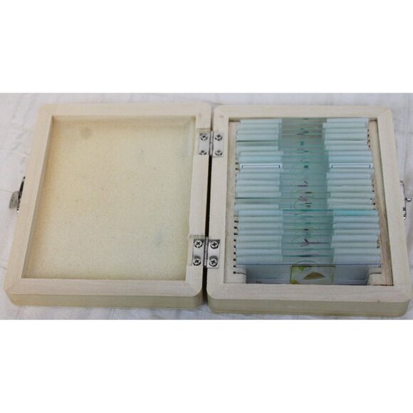 AmScope Science 25 Prepared Slides Microscope Biology Wooden Box List Specimen - Picture 7 of 10